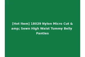 [Hot Item] 18029 Nylon Micro Cut &amp; Sewn High Waist Tummy Belly Panties