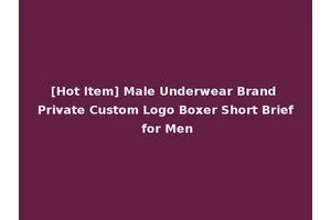 [Hot Item] Male Underwear Brand Private Custom Logo Boxer Short Brief for Men