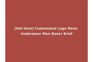 [Hot Item] Customized Logo Mens Underwear Men Boxer Brief