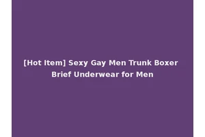 [Hot Item] Sexy Gay Men Trunk Boxer Brief Underwear for Men