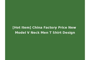 [Hot Item] China Factory Price New Model V Neck Men T Shirt Design