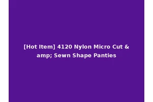 [Hot Item] 4120 Nylon Micro Cut &amp; Sewn Shape Panties