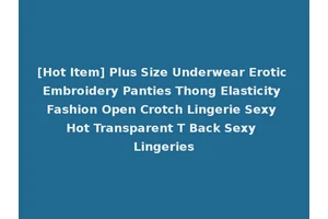 [Hot Item] Plus Size Underwear Erotic Embroidery Panties Thong Elasticity Fashion Open Crotch Lingerie Sexy Hot Transparent T Back Sexy Lingeries
