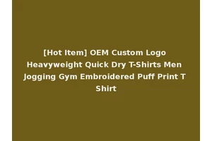[Hot Item] OEM Custom Logo Heavyweight Quick Dry T-Shirts Men Jogging Gym Embroidered Puff Print T Shirt