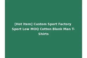 [Hot Item] Custom Sport Factory Sport Low MOQ Cotton Blank Man T-Shirts