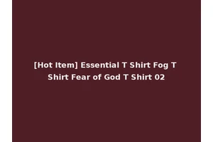 [Hot Item] Essential T Shirt Fog T Shirt Fear of God T Shirt 02