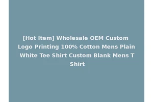 [Hot Item] Wholesale OEM Custom Logo Printing 100% Cotton Mens Plain White Tee Shirt Custom Blank Mens T Shirt