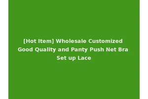 [Hot Item] Wholesale Customized Good Quality and Panty Push Net Bra Set up Lace