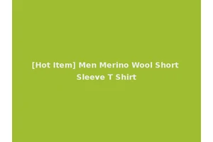 [Hot Item] Men Merino Wool Short Sleeve T Shirt