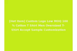 [Hot Item] Custom Logo Low MOQ 100% Cotton T Shirt Men Oversized T-Shirt Accept Sample Customization
