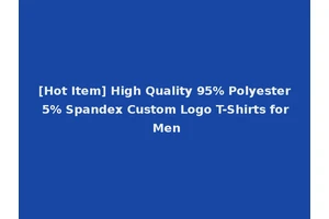 [Hot Item] High Quality 95% Polyester 5% Spandex Custom Logo T-Shirts for Men