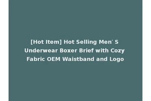 [Hot Item] Hot Selling Men′ S Underwear Boxer Brief with Cozy Fabric OEM Waistband and Logo