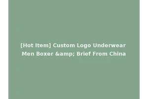[Hot Item] Custom Logo Underwear Men Boxer &amp; Brief From China