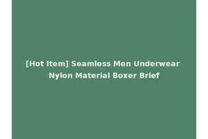 [Hot Item] Seamless Men Underwear Nylon Material Boxer Brief