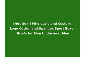 [Hot Item] Wholesale and Custom Logo Cotton and Spandex Sport Boxer Briefs for Men Underwear Men