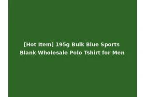 [Hot Item] 195g Bulk Blue Sports Blank Wholesale Polo Tshirt for Men