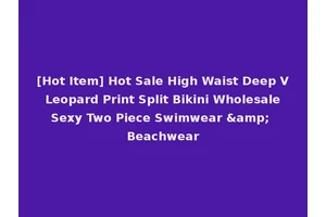 [Hot Item] Hot Sale High Waist Deep V Leopard Print Split Bikini Wholesale Sexy Two Piece Swimwear &amp; Beachwear