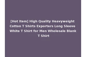 [Hot Item] High Quality Heavyweight Cotton T Shirts Exporters Long Sleeve White T Shirt for Men Wholesale Blank T Shirt