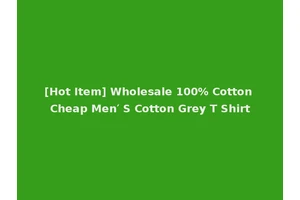 [Hot Item] Wholesale 100% Cotton Cheap Men′ S Cotton Grey T Shirt