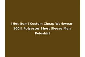 [Hot Item] Custom Cheap Workwear 100% Polyester Short Sleeve Men Poloshirt