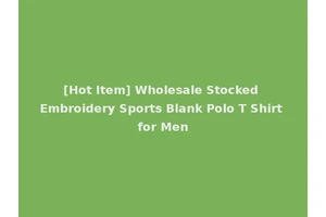 [Hot Item] Wholesale Stocked Embroidery Sports Blank Polo T Shirt for Men
