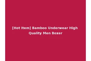 [Hot Item] Bamboo Underwear High Quality Men Boxer