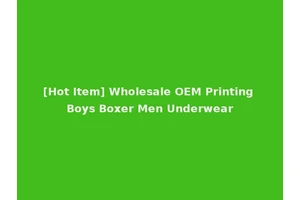 [Hot Item] Wholesale OEM Printing Boys Boxer Men Underwear