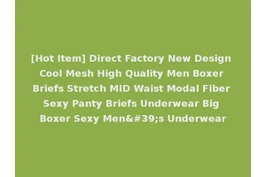 [Hot Item] Direct Factory New Design Cool Mesh High Quality Men Boxer Briefs Stretch MID Waist Modal Fiber Sexy Panty Briefs Underwear Big Boxer Sexy Men's Underwear