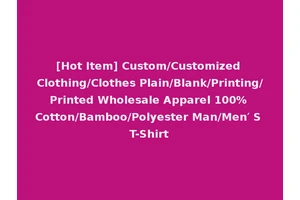 [Hot Item] Custom/Customized Clothing/Clothes Plain/Blank/Printing/Printed Wholesale Apparel 100% Cotton/Bamboo/Polyester Man/Men′ S T-Shirt