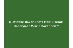 [Hot Item] Boxer Briefs Men′ S Trunk Underwear Men′ S Boxer Briefs