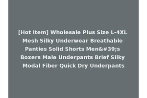 [Hot Item] Wholesale Plus Size L-4XL Mesh Silky Underwear Breathable Panties Solid Shorts Men's Boxers Male Underpants Brief Silky Modal Fiber Quick Dry Underpants