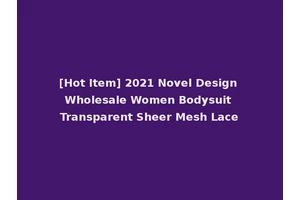 [Hot Item] 2021 Novel Design Wholesale Women Bodysuit Transparent Sheer Mesh Lace
