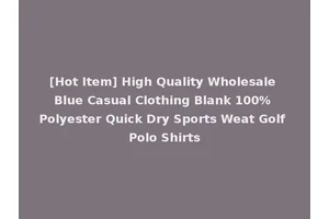 [Hot Item] High Quality Wholesale Blue Casual Clothing Blank 100% Polyester Quick Dry Sports Weat Golf Polo Shirts