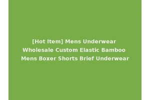 [Hot Item] Mens Underwear Wholesale Custom Elastic Bamboo Mens Boxer Shorts Brief Underwear