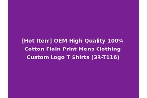 [Hot Item] OEM High Quality 100% Cotton Plain Print Mens Clothing Custom Logo T Shirts (3R-T116)