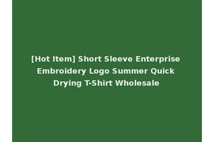 [Hot Item] Short Sleeve Enterprise Embroidery Logo Summer Quick Drying T-Shirt Wholesale