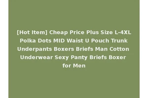 [Hot Item] Cheap Price Plus Size L-4XL Polka Dots MID Waist U Pouch Trunk Underpants Boxers Briefs Man Cotton Underwear Sexy Panty Briefs Boxer for Men