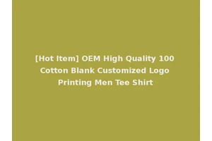 [Hot Item] OEM High Quality 100 Cotton Blank Customized Logo Printing Men Tee Shirt