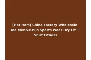 [Hot Item] China Factory Wholesale Tee Men's Sports Wear Dry Fit T Shirt Fitness
