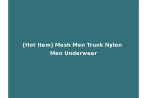 [Hot Item] Mesh Men Trunk Nylon Men Underwear
