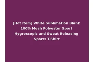 [Hot Item] White Sublimation Blank 100% Mesh Polyester Sport Hygroscopic and Sweat Releasing Sports T-Shirt