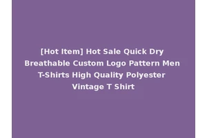 [Hot Item] Hot Sale Quick Dry Breathable Custom Logo Pattern Men T-Shirts High Quality Polyester Vintage T Shirt