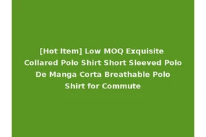 [Hot Item] Low MOQ Exquisite Collared Polo Shirt Short Sleeved Polo De Manga Corta Breathable Polo Shirt for Commute