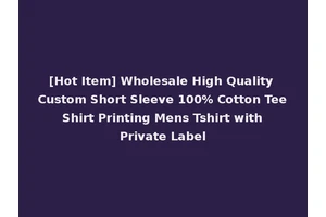 [Hot Item] Wholesale High Quality Custom Short Sleeve 100% Cotton Tee Shirt Printing Mens Tshirt with Private Label