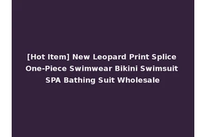 [Hot Item] New Leopard Print Splice One-Piece Swimwear Bikini Swimsuit SPA Bathing Suit Wholesale