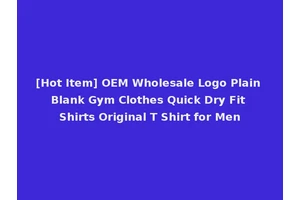 [Hot Item] OEM Wholesale Logo Plain Blank Gym Clothes Quick Dry Fit Shirts Original T Shirt for Men