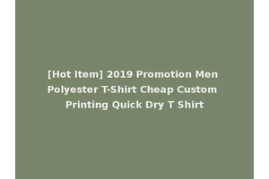 [Hot Item] 2019 Promotion Men Polyester T-Shirt Cheap Custom Printing Quick Dry T Shirt