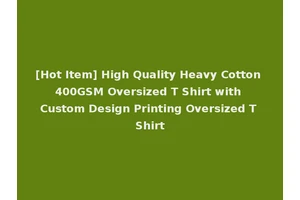 [Hot Item] High Quality Heavy Cotton 400GSM Oversized T Shirt with Custom Design Printing Oversized T Shirt