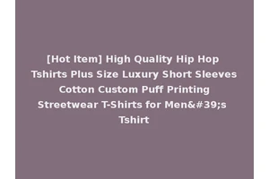 [Hot Item] High Quality Hip Hop Tshirts Plus Size Luxury Short Sleeves Cotton Custom Puff Printing Streetwear T-Shirts for Men's Tshirt