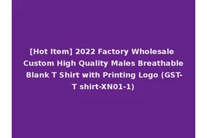 [Hot Item] 2022 Factory Wholesale Custom High Quality Males Breathable Blank T Shirt with Printing Logo (GST-T shirt-XN01-1)